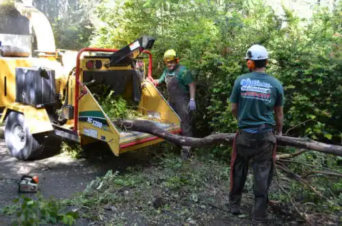 tree services Big Lake